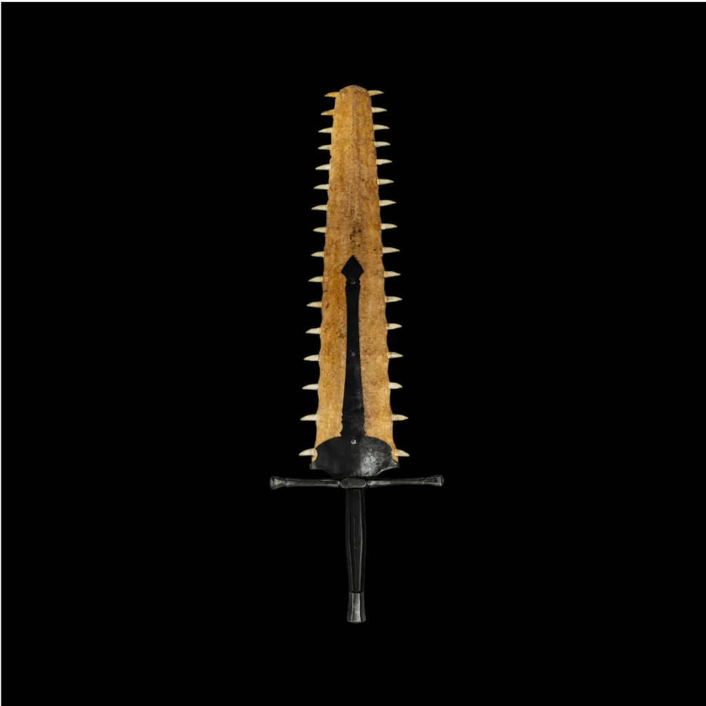 Sawfish sword - preview photo 1123