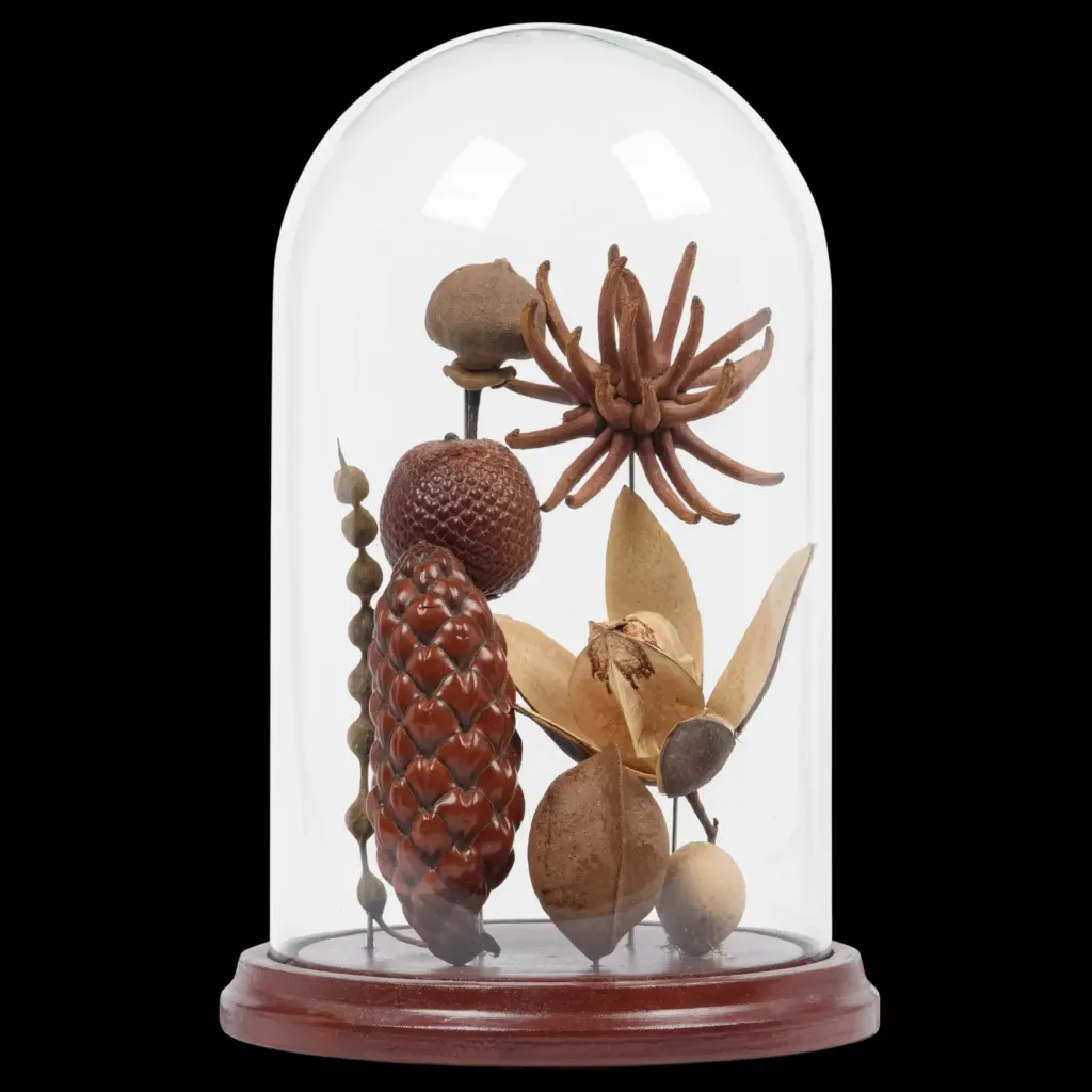 Tropical fruits and seeds in glass cloche - preview photo 1123