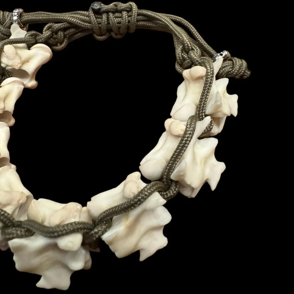 Wild Elegance: Handcrafted Python Bone Bracelet with Woven Textile Cord - preview photo 3123