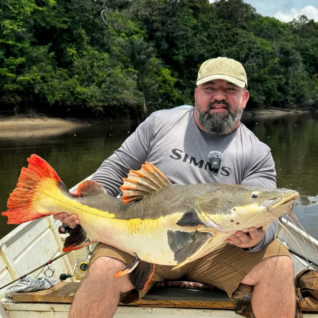 Angler in a cap holding a large catfish with an orange tail fin in a boat on a Guyana river