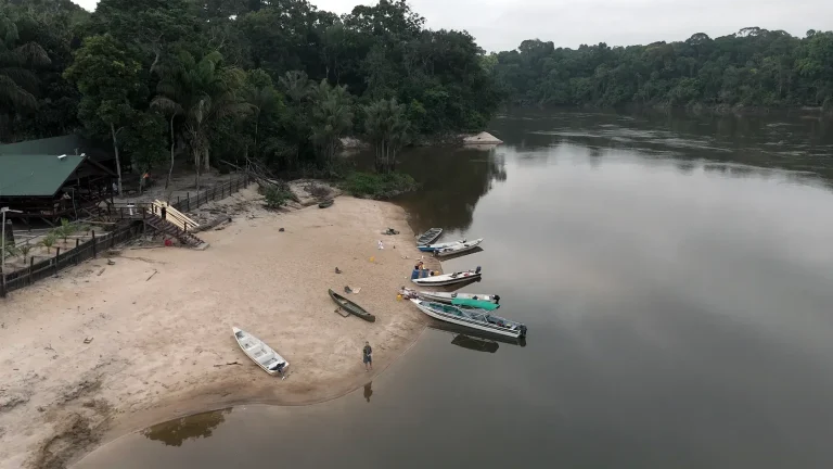 圭亞那埃塞奎博河沙岸上的釣魚營地，停靠著小艇，背後是熱帶雨林